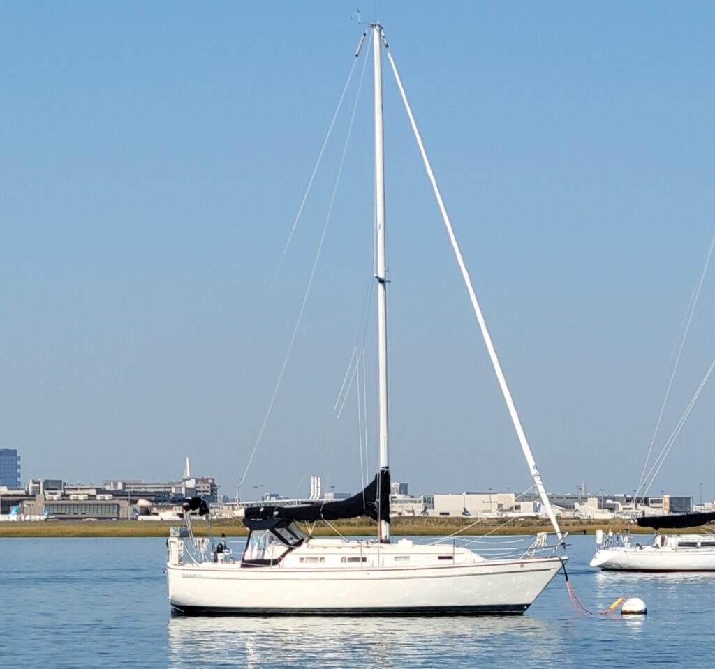 Picture of a Sailboat at a mooring ready for rental